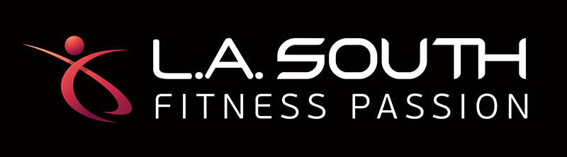la south logo